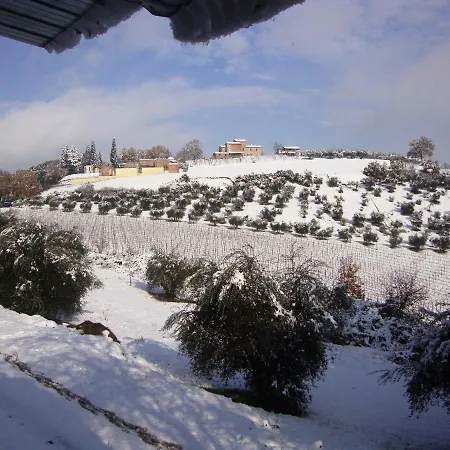 Podere Caldaruccio La Pineta - Bungalow * Ramazzano - Le Pulci