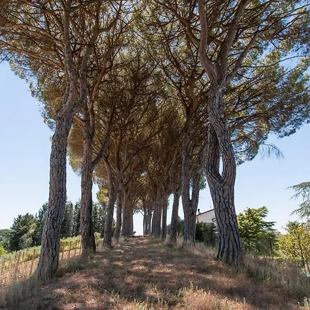 בית נופש Podere Caldaruccio La Pineta - Bungalow