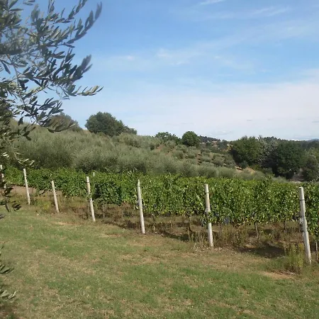 Podere Caldaruccio La Pineta - Bungalow