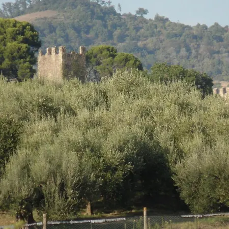 Podere Caldaruccio La Pineta - Bungalow Ramazzano - Le Pulci