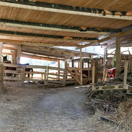 Podere Caldaruccio La Pineta - Bungalow Ramazzano - Le Pulci