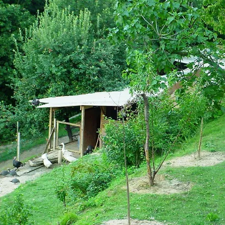 Podere Caldaruccio La Pineta - Bungalow Ramazzano - Le Pulci