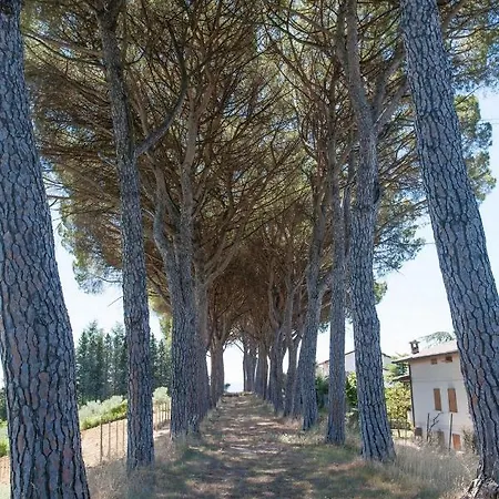 Hébergement de vacances Podere Caldaruccio La Pineta - Bungalow Ramazzano - Le Pulci