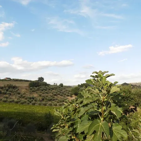 Podere Caldaruccio La Pineta - Bungalow Hébergement de vacances