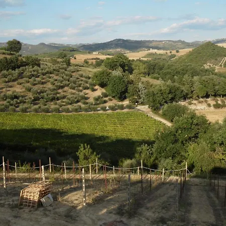 Podere Caldaruccio La Pineta - Bungalow *