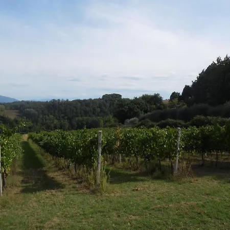 Podere Caldaruccio La Pineta - Bungalow *
